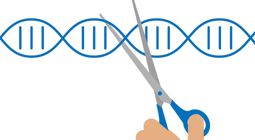 Minister Carola Schouten wil experimenteerruimte voor Crispr-Cas Minister Carola Schouten wil experimenteerruimte voor Crispr-Cas