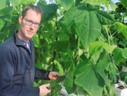 Roofmijten bleven spint de baas, ondanks aanhoudend zomerweer