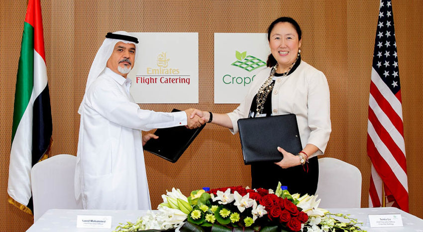Cateraar in Dubai bouwt grootste vertical farm ter wereld