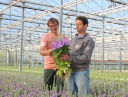 ‘Het is raar dat telers zo weinig doen aan promotie van hun product’