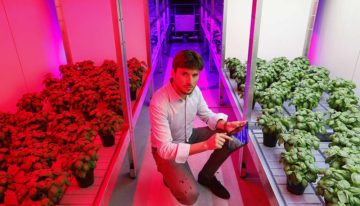 Bedrijfsspecifiek LED-lichtrecept dankzij eigen teeltonderzoek
