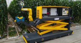 Eerste demonstratie nieuwe paprika-oogstrobot in de kas