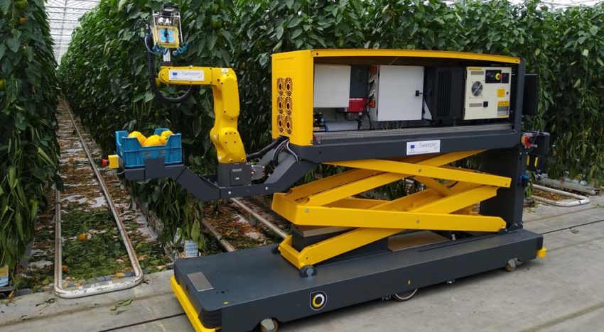Eerste demonstratie nieuwe paprika-oogstrobot in de kas
