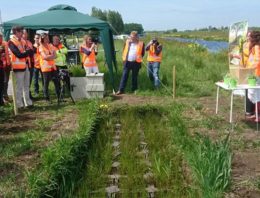 Provincie Zuid-Holland verlengt pilot Plant-e voor energieopwekking uit berm