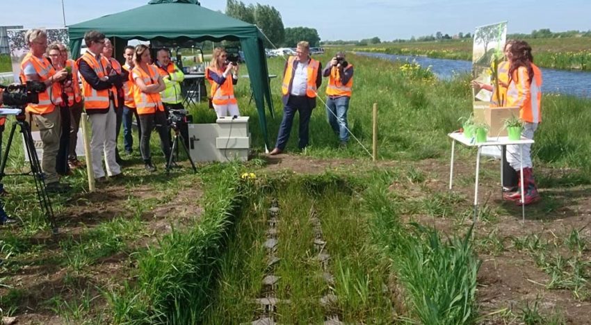 Provincie Zuid-Holland verlengt pilot Plant-e voor energieopwekking uit berm Provincie Zuid-Holland verlengt pilot Plant-e voor energieopwekking uit berm