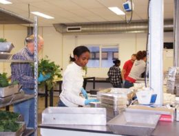 Grote belangstelling voor Wageningse studie Plantwetenschappen