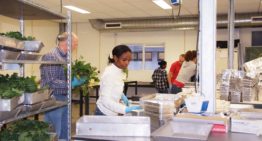 Grote belangstelling voor Wageningse studie Plantwetenschappen