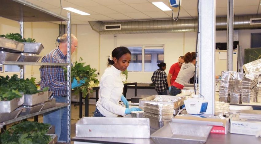 Grote belangstelling voor Wageningse studie Plantwetenschappen