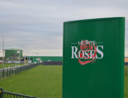 Van den Berg RoseS en Van der Drift Roses starten commerciële samenwerking