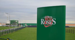 Van den Berg RoseS en Van der Drift Roses starten commerciële samenwerking