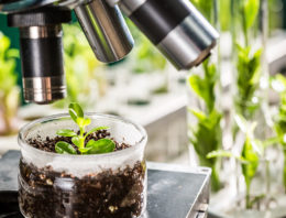 Aansturing architectuur van planten in toekomst mogelijk