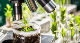 Aansturing architectuur van planten in toekomst mogelijk