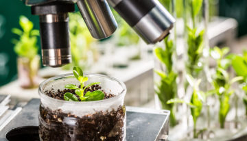 Aansturing architectuur van planten in toekomst mogelijk
