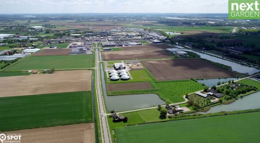 NEXTgarden richt pijlen op exotische specerijen