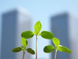 Dutch Greenhouse Delta officieel gelanceerd