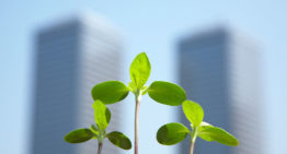 Dutch Greenhouse Delta officieel gelanceerd