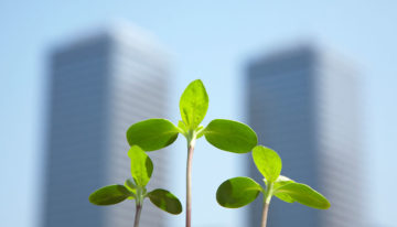 Dutch Greenhouse Delta officieel gelanceerd