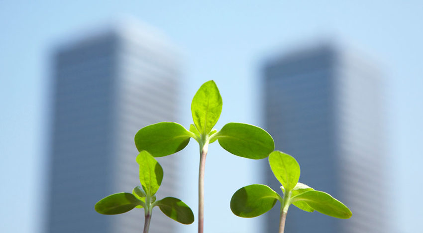 Dutch Greenhouse Delta officieel gelanceerd