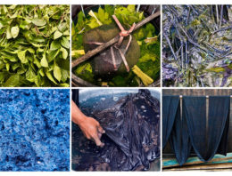Natuurlijke indigo uit Nederland voorlopig te duur