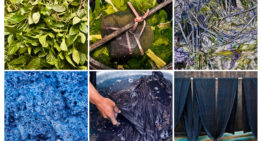 Natuurlijke indigo uit Nederland voorlopig te duur