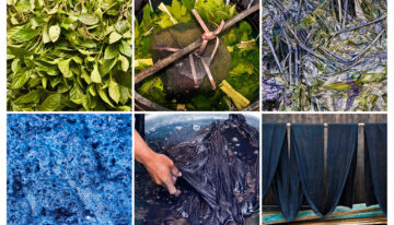 Natuurlijke indigo uit Nederland voorlopig te duur
