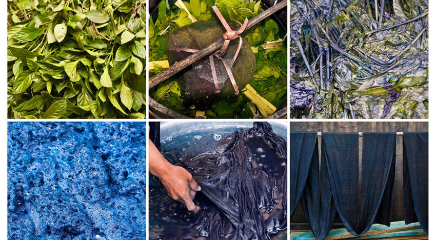 Natuurlijke indigo uit Nederland voorlopig te duur