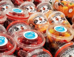 Greenco levert eerste Tommies snacktomaatjes met PlanetProof aan Jumbo