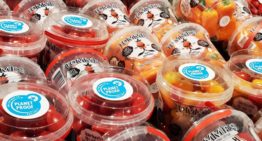 Greenco levert eerste Tommies snacktomaatjes met PlanetProof aan Jumbo