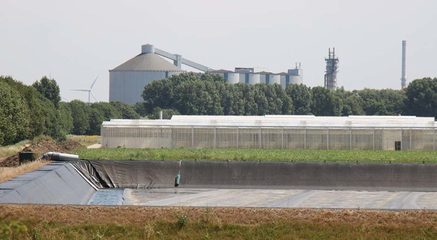 Restwater van suikerfabriek voor telers in duurzaam Nieuw Prinsenland