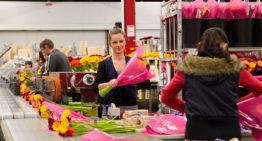 Preventief onderhoud voorkomt onnodige stilstand van bindmachine