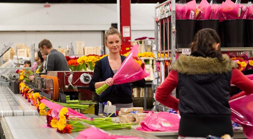 Preventief onderhoud voorkomt onnodige stilstand van bindmachine