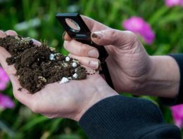Relatie bodemleven, biostimulanten en gewasreactie is uitdagend proces
