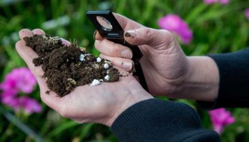Relatie bodemleven, biostimulanten en gewasreactie is uitdagend proces
