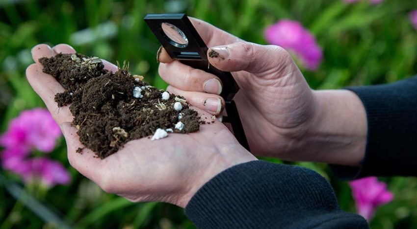 Relatie bodemleven, biostimulanten en gewasreactie is uitdagend proces