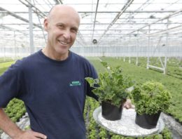 ‘Stijlvolle planten met een lekkere geur’