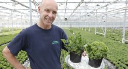 ‘Stijlvolle planten met een lekkere geur’