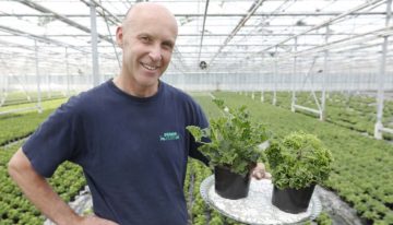 ‘Stijlvolle planten met een lekkere geur’