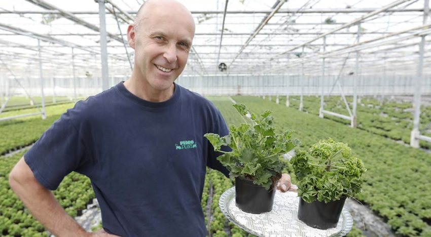 ‘Stijlvolle planten met een lekkere geur’