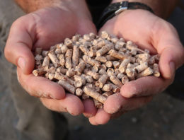 Businesscase voor houtketels minder gunstig