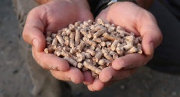 Businesscase voor houtketels minder gunstig