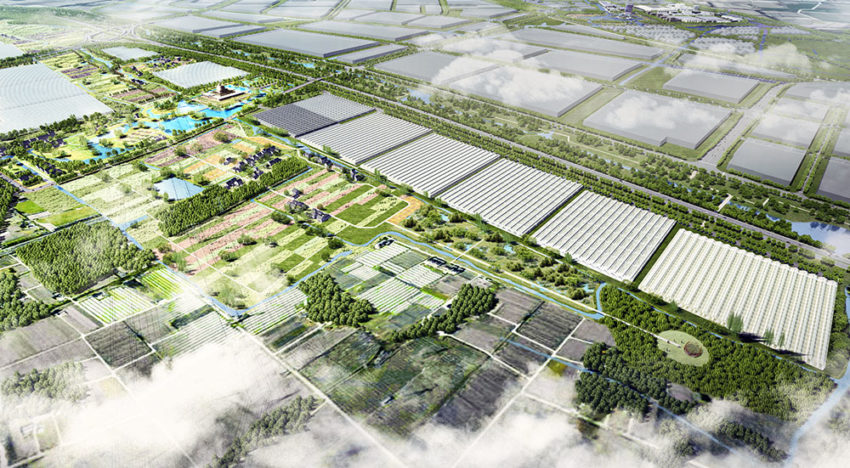 Nederland en China gaan nauwer samenwerken op glastuinbouwgebied