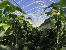 ‘Neem nu maatregelen voor probleemloze start in 2019’