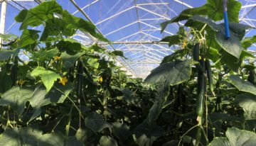‘Neem nu maatregelen voor probleemloze start in 2019’