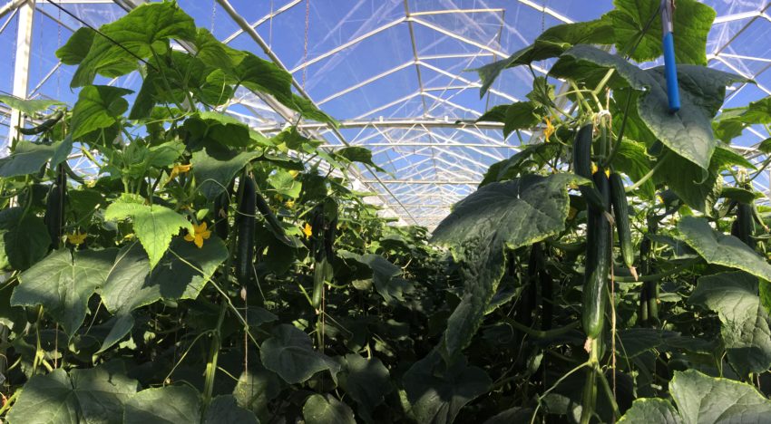 ‘Neem nu maatregelen voor probleemloze start in 2019’