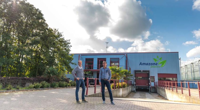 Anthuriumkweker Amazone Plants vergroot areaal en assortiment