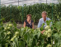 Meer resistente rassen gewenst voor terugdringing middelengebruik