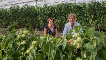 Meer resistente rassen gewenst voor terugdringing middelengebruik