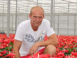 Geen residuproblemen of verstopping met cellulose als drager voor aaltjes
