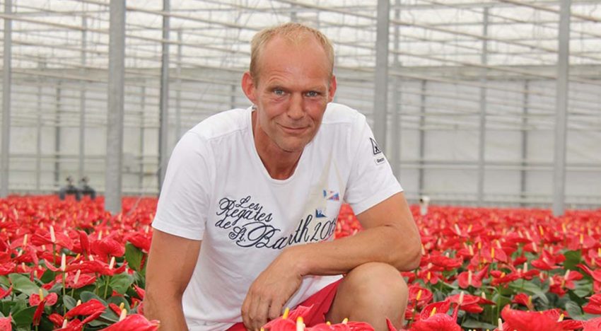 Geen residuproblemen of verstopping met cellulose als drager voor aaltjes