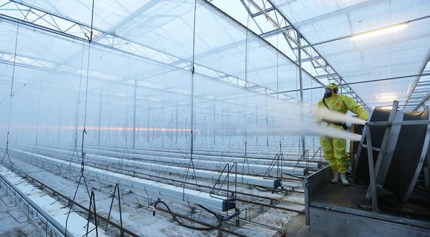 Controle op hygiëne na teeltwisseling maakt zichtbaar wat het oog niet ziet